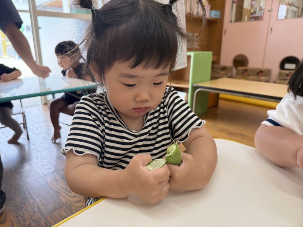 今月の食育は…『そらまめ』
最初に絵本の「そらまめくんのなかま」
をみんなで聞きました📖´-
給食先生がそらまめを持ってきてくれて、
「いっしょ!」
「これとおなじよ!」と、絵本のそらまめを、
指さして教えてくれました。
そらまめをもらって、
ぽきっと折ってみるOちゃん🙌