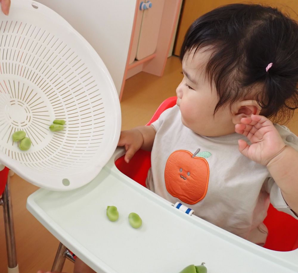 ウサギ組さんは
初めての”そら豆”に釘付け👀✨