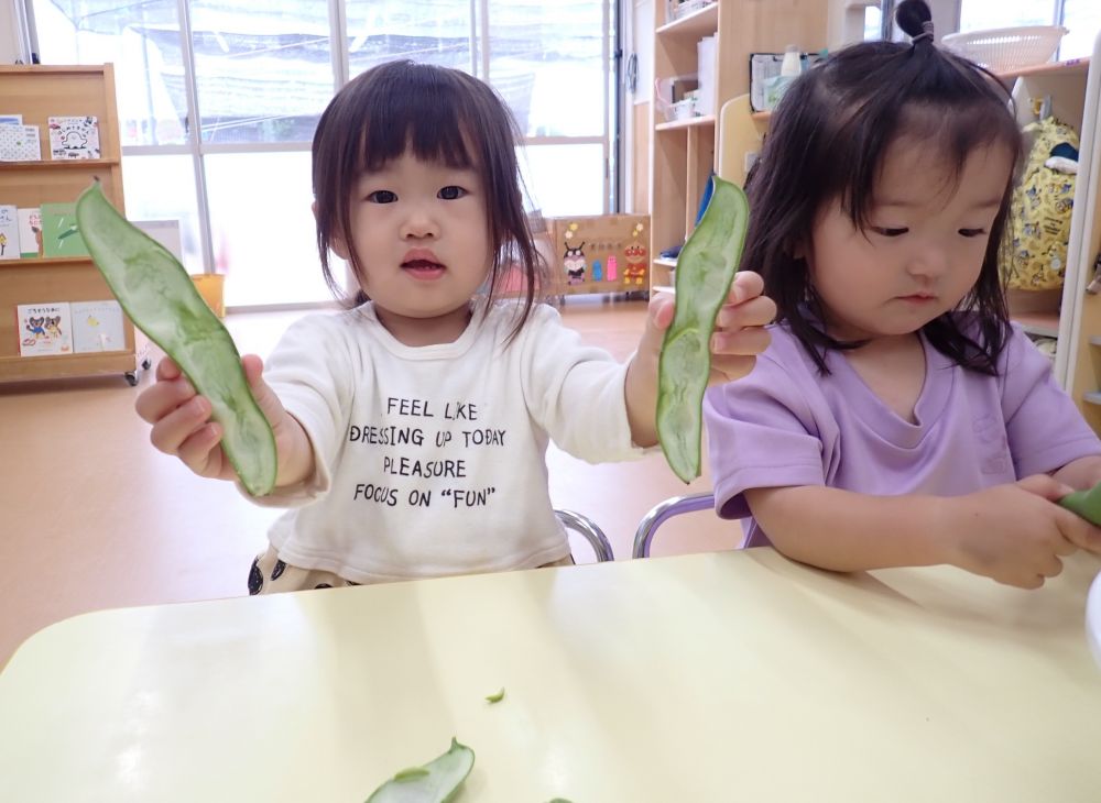 ”そら豆”のベット
「ふわふわ~♪」