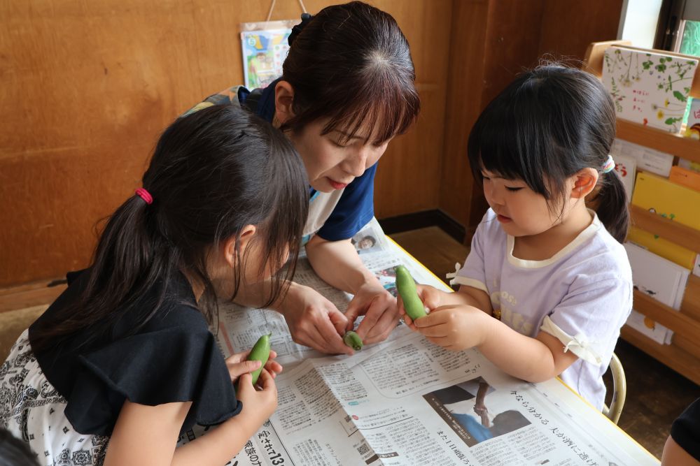 5月16日 金曜日に行われた食育の日♪
給食の先生にそら豆やグリンピースなど
いろいろな種類の豆を見せてもらいました
そら豆を実際に触って、匂いを嗅いで、
皮をむいてみて…
子ども達の口から出た言葉は
「 そら豆くんのベッドだ 」
「 ふかふかだ‼ 」
そら豆の皮の中がふかふかなことに
興味津々のゾウ組さん
