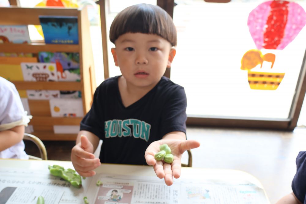 「豆の横をもみもみしたら剥きやすくなるよ」
と、給食先生に教えてもらって
もみもみするAくん
「 見て‼ ひとりで出来たよ‼ 」
と、中からたくさん出てきた豆を
嬉しそうに見せてくれました
給食で食べるのも楽しみだね♫