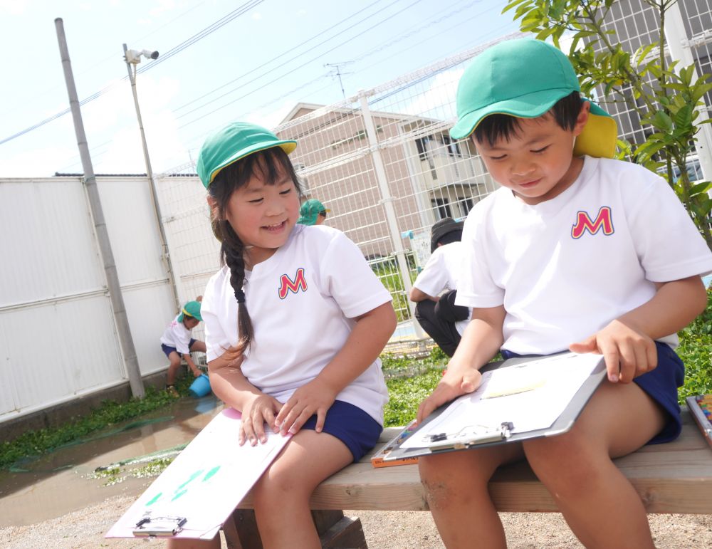 記録用紙を持って、夏野菜の前へ・・・。
「じーーーー」っと観察しては、真剣な顔で描いています。
描き終わったら友達とくらべっこ♡
自分の気づきを伝えたり、自分が気づいてないことに友達が気づいていて嬉しい発見があったり、日々変化する野菜達のお世話を楽しんでいるキリン組さんです。