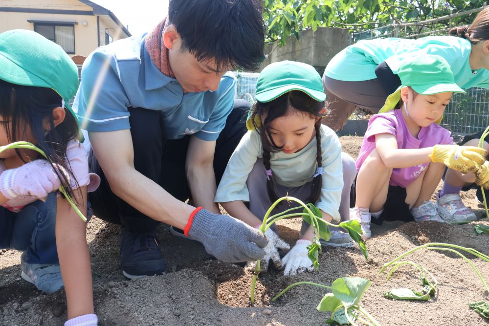 植え方を教えてもらい
大事に丁寧に取り組むキリン組さん
難しいところは
さりげなく手伝ってくれるおうちの方たち!
とても心強いです♡