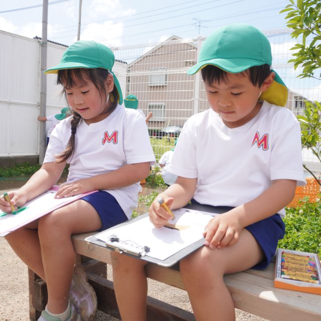 ＊　5歳児　夏野菜記録　＊