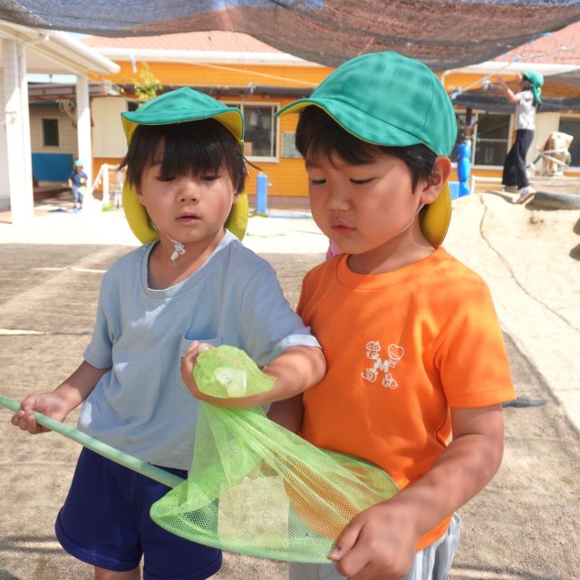 ＊　5歳児　虫のお世話①　＊