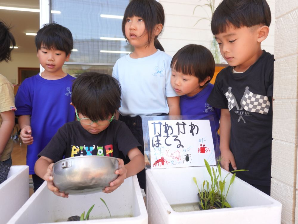 生き物への興味が更に高まってると感じる最近…
生き物ってなぜかは分からないけど魅力を感じますよね♡
その魅力も幼少期限定かもだけど・・・
今だからこそ感じられることを大切にしたいですね♡
キリン組さんには…
陸の生き物だけではありません!
川辺の生き物もいます♡
水がにごってると入れ替える!