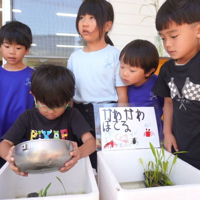 ＊　5歳児　虫のお世話②　＊