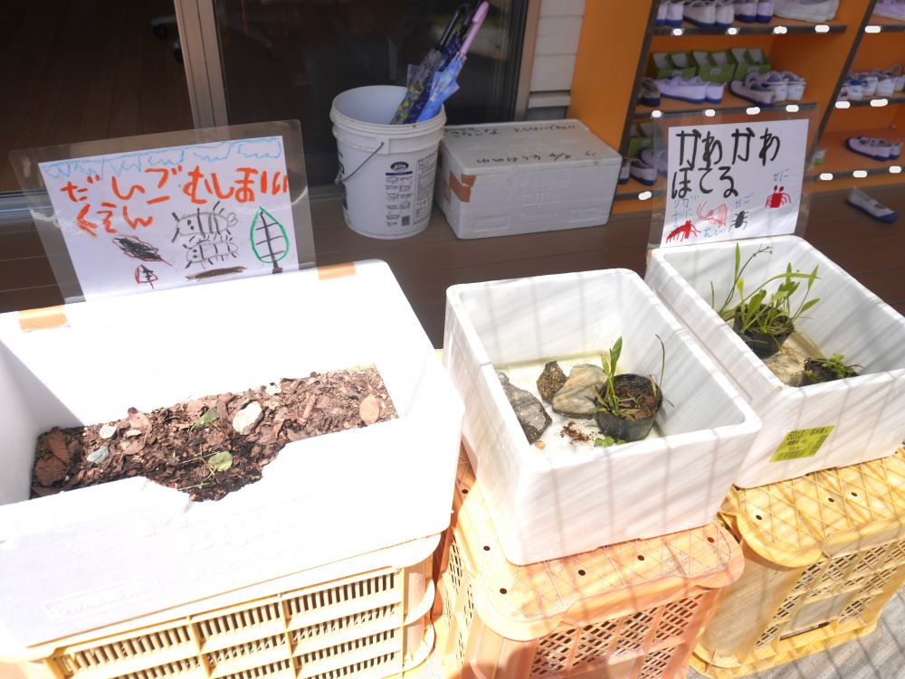 ”かわかわほてる”
”むしむしほてる”
”だんごむしほいくえん”
”とかげのおうち”
本当に生き物が大好きなクラスです♡