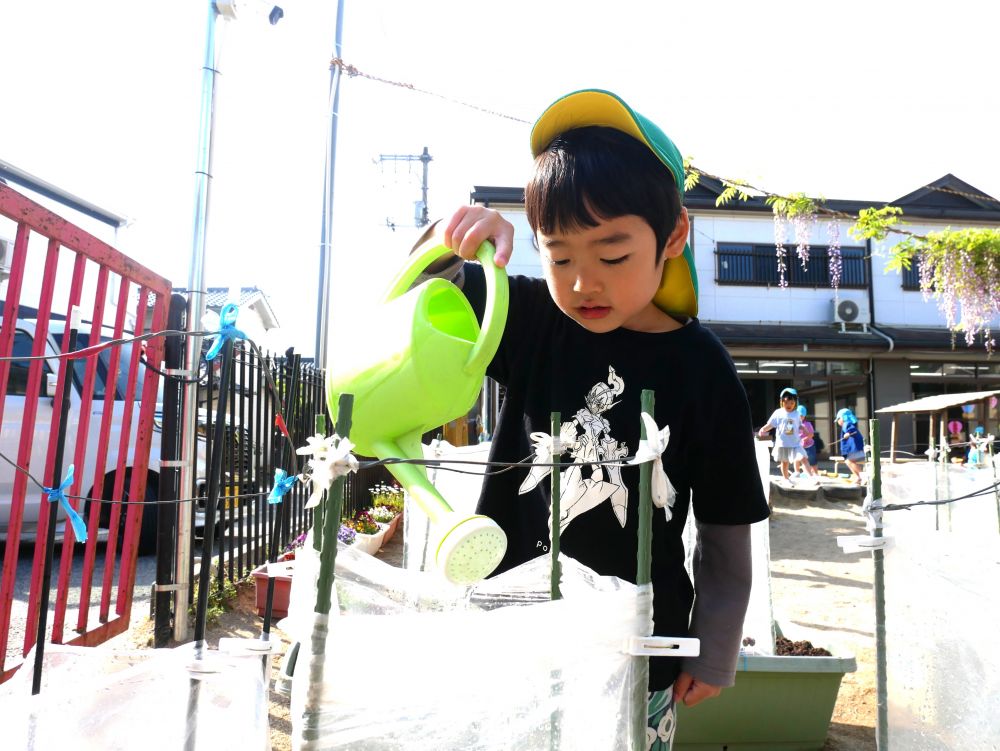 「オクラの芽でたかな~」とYくん
水をあげながら生長しているか観察…