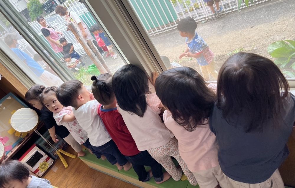 その様子を、お部屋の中から見ていたのは…
ヒヨコ組さん🐥
来年はみんなが植える番だよ☺️
楽しみにしててね~
ヒヨコ組さんのお部屋からは、
畑の様子がよく見えます👀
葉っぱが大きくなっていく様子、
観察してみてね~🌱
もちろん!クマ組さんも👀