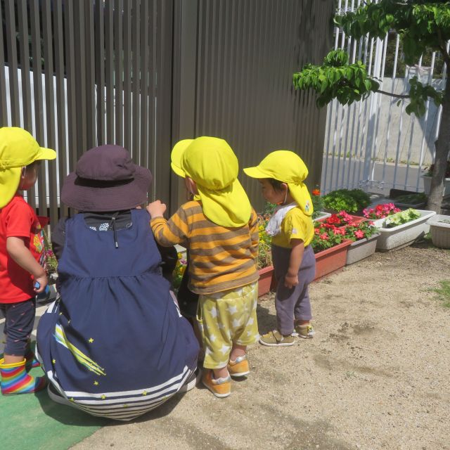 * 　1歳児　見つけた！①　＊
