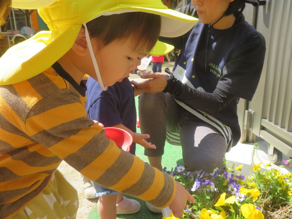 『自分も見つけたい!!』
友達の発見が刺激になり、さらに幼虫探しに熱が入ります!
「‟つまつまひょうもん”見つけた!!」
少し長い名前を一生懸命覚えて、伝えていました♡
友達や保育者と関りをもちながら幼虫探しを楽しんでいます