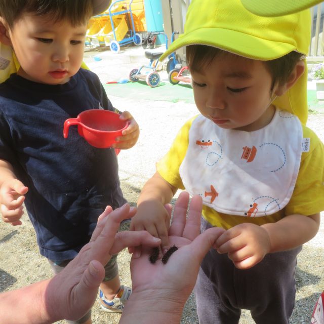 ＊　1歳児　見つけた！②　＊