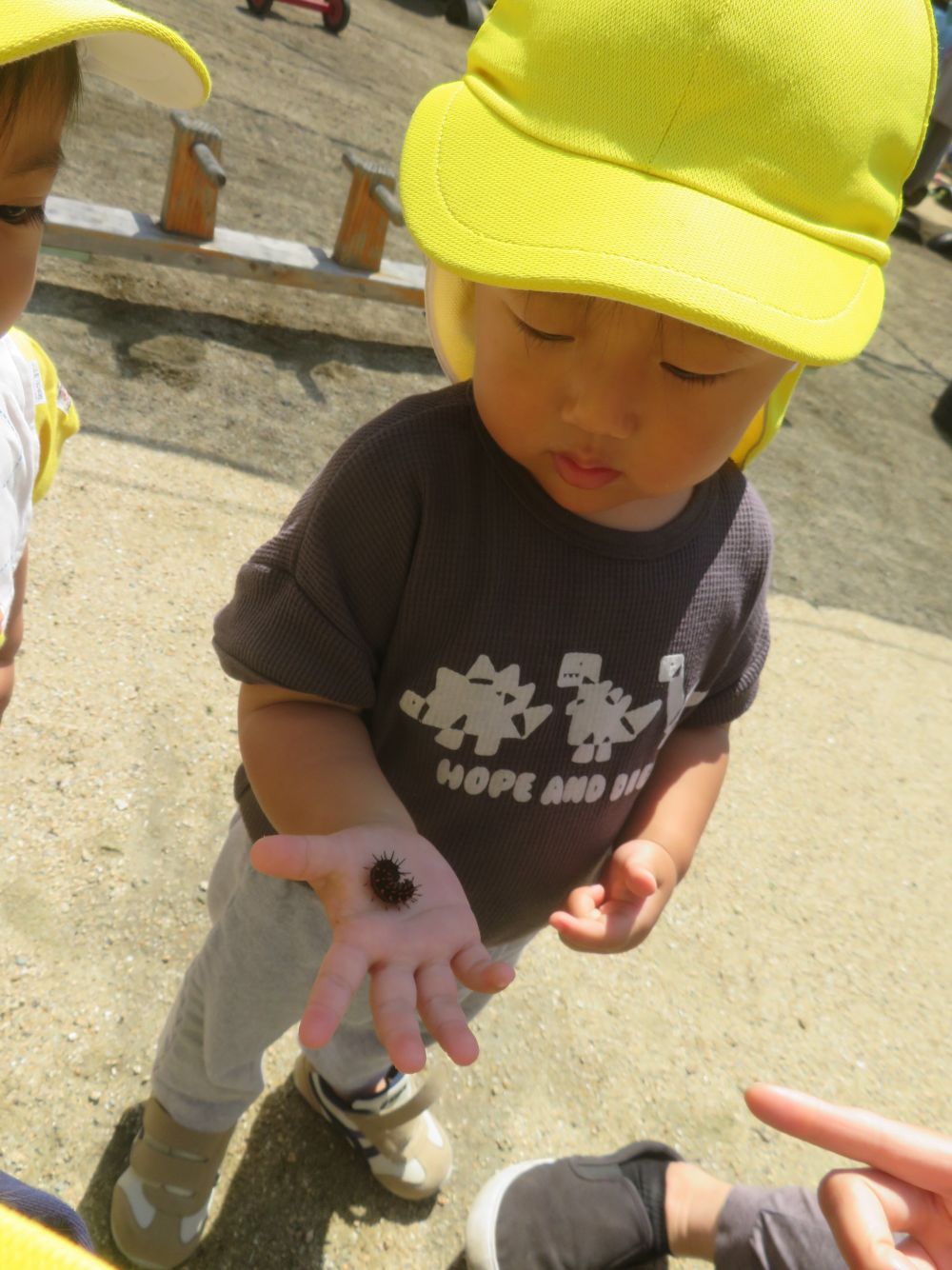 トゲトゲした見た目とはちがい、
実際に触ってみるとやわらかい・・・
そんな不思議な感覚が手のひらから伝わり
じっと見つめるYくん