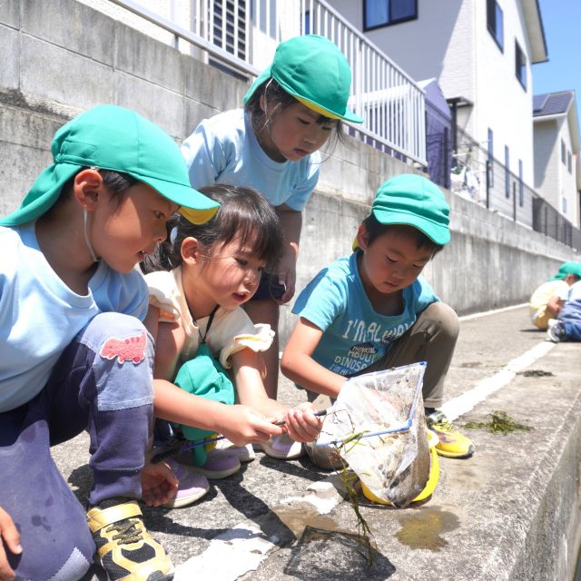 ＊　5歳児　川散歩②　＊