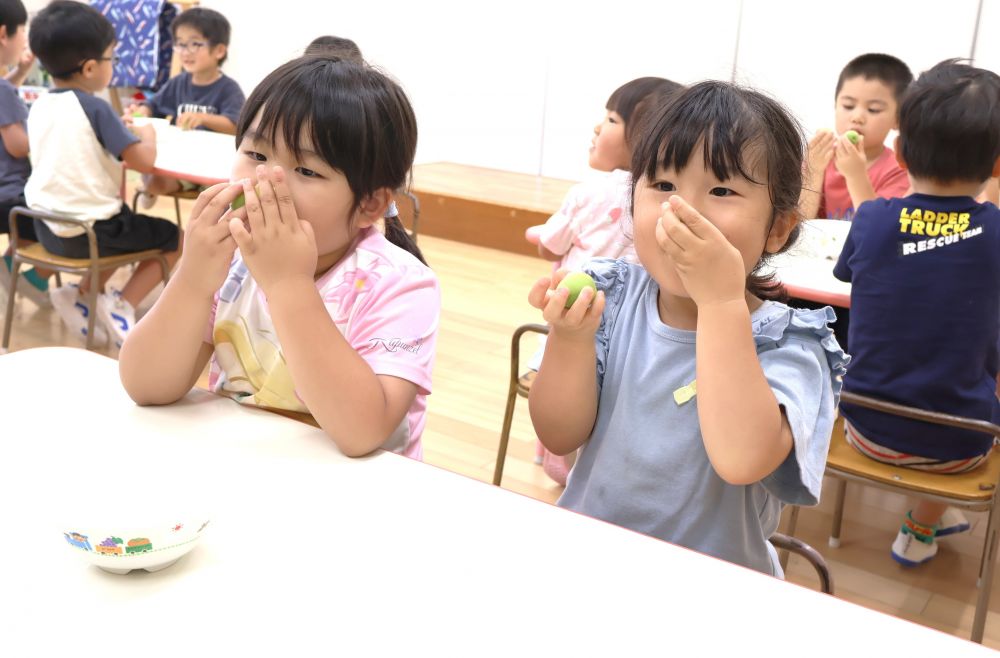 その季節ならではの自然物を見たり触れたりしながら
いろいろな発見を楽しんでいるゾウ組さん
今日は梅を使って梅ジュース作りの下準備!
まずは梅を『知る』ことから!
「いい匂いがするね~」
「フワフワしてて気持ちいい~」
手の平の上を転がしてみたり、匂ってみたり…
ワクワクが止まらない♡