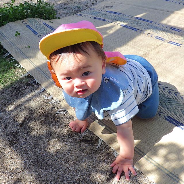 ＊　０歳児　新しい友達　＊