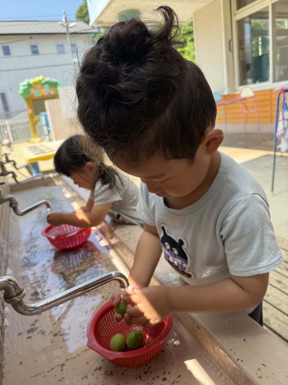 今年もこの季節がやってきました!
みんなに梅を見せると…
「ぶどう?」
見えるよね~
「これは梅だよ」と、教えてあげると、
「ばぁばといっしょにしたー!」と、
経験したことを思い出して、
教えてくれた子も👏
さっそくみんなに洗ってもらいました✨️
