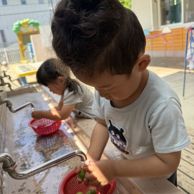 梅シロップ作り 　～2歳児　 クマ組～