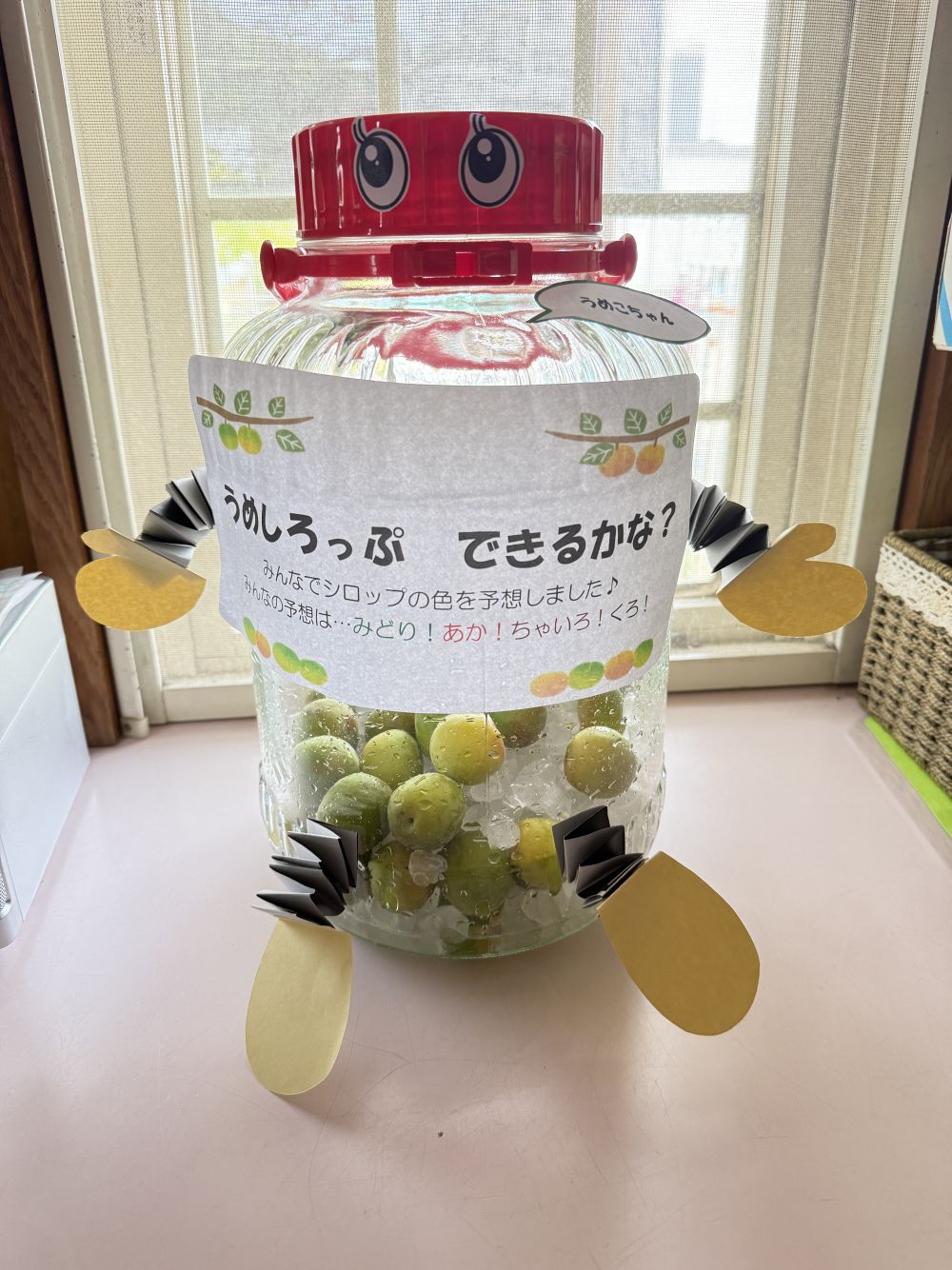 梅…砂糖…梅…砂糖と、
順番に入れるんだよ♪
その様子をじーっと観察👀
「もうジュースできた?」
「はやくのもう!」
みんなワクワク♥️
もう少し時間がかかるから、
みんなで名前をつけて、
毎日観察しようね~☺️
※何色になるか、みんなで予想しました!
赤、茶色、緑、黒…
結果が楽しみですね🙌