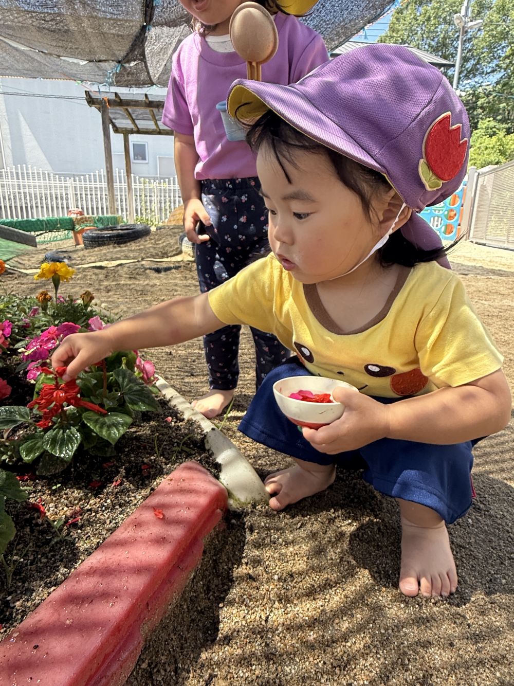 赤…オレンジ…黄色…
自分の好きな色のお花を選んで…🌷