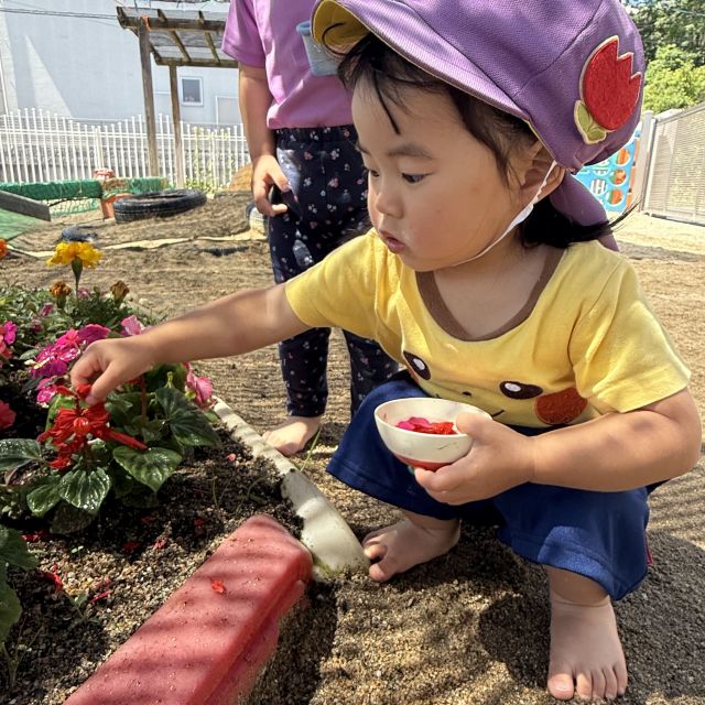 色水作り 　～2歳児　 クマ組～