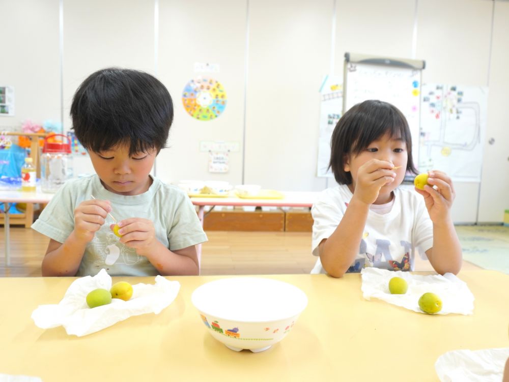 今日は食育活動が盛りだくさん♡
「家でやったことある!」
「お酒にもジュースにもできるんだよね!」
梅のシロップ作りを経験したことある子がちらほら・・・
今日やったことがみんなの知識にまたプラスされました♡
まずはつまようじでヘタを取り
穴を開けます!
「へたの所にばい菌があるんだって」
「穴を開けるとエキスを出しやすくなるんだって」