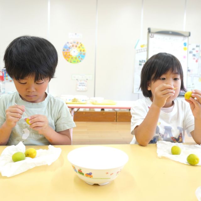 ＊　５歳児　梅ジュース作り　＊
