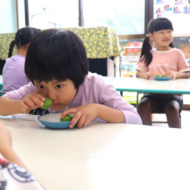 梅ジュース作り＊５歳児＊　