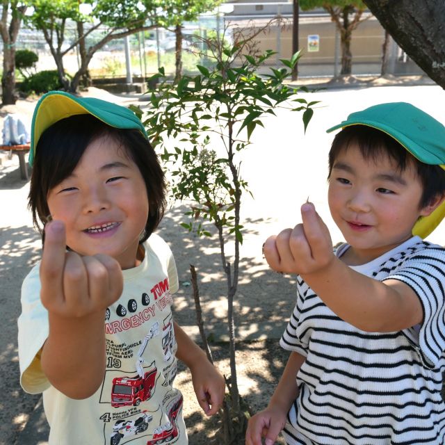 虫探し　＊５歳児＊