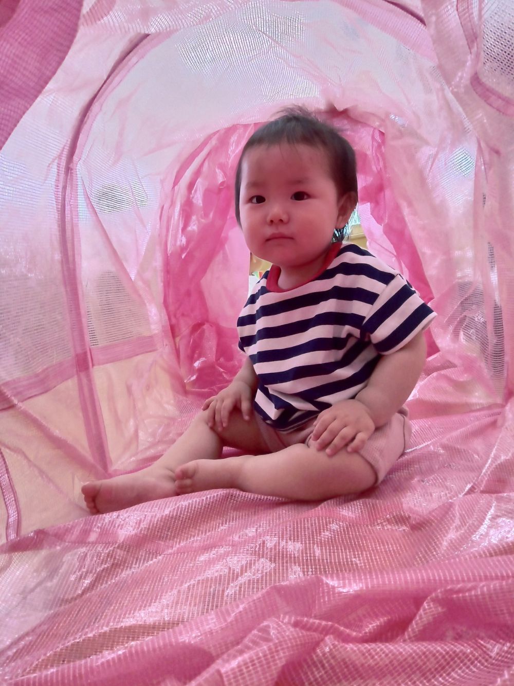 トンネルの中が気に入ったのか休憩中のKちゃん♪
雨でもお部屋でたくさん体を動かせて
楽しかったネ~♡