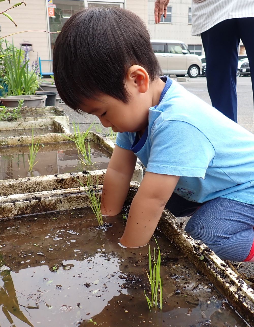 田植えもしたよ♪