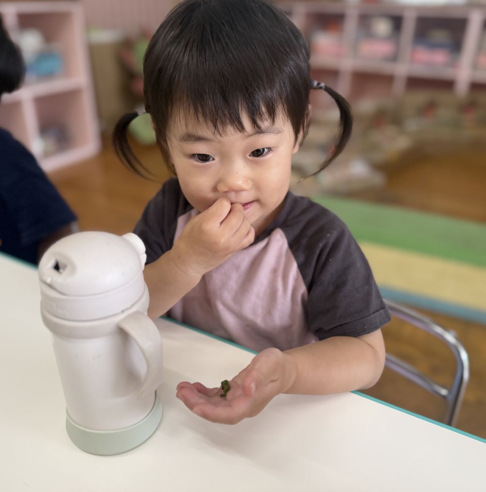 初収穫したピーマンのお味は？

少しだけ味付けしてもらって、
パクパク食べて、たくさんおかわりしたOちゃん☺️

次は何のお野菜が収穫出来るかな～♡