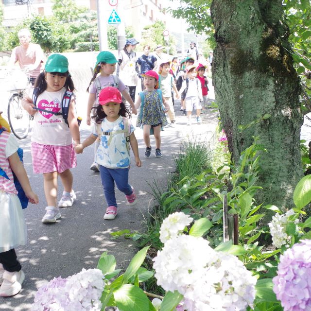 紫陽花散歩　*３・５歳児*