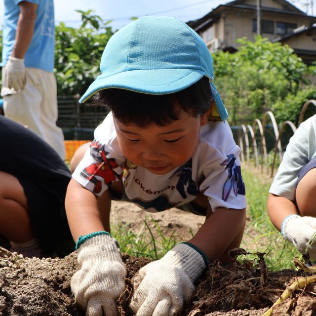たくさん収穫できたよ🥔　＊４歳児＊