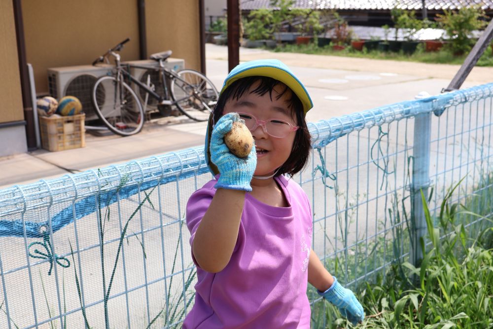 「 みてみて! 採れたよ! 」
Hちゃんの手のひらと同じくらいの
大きなじゃがいもゲット!♡