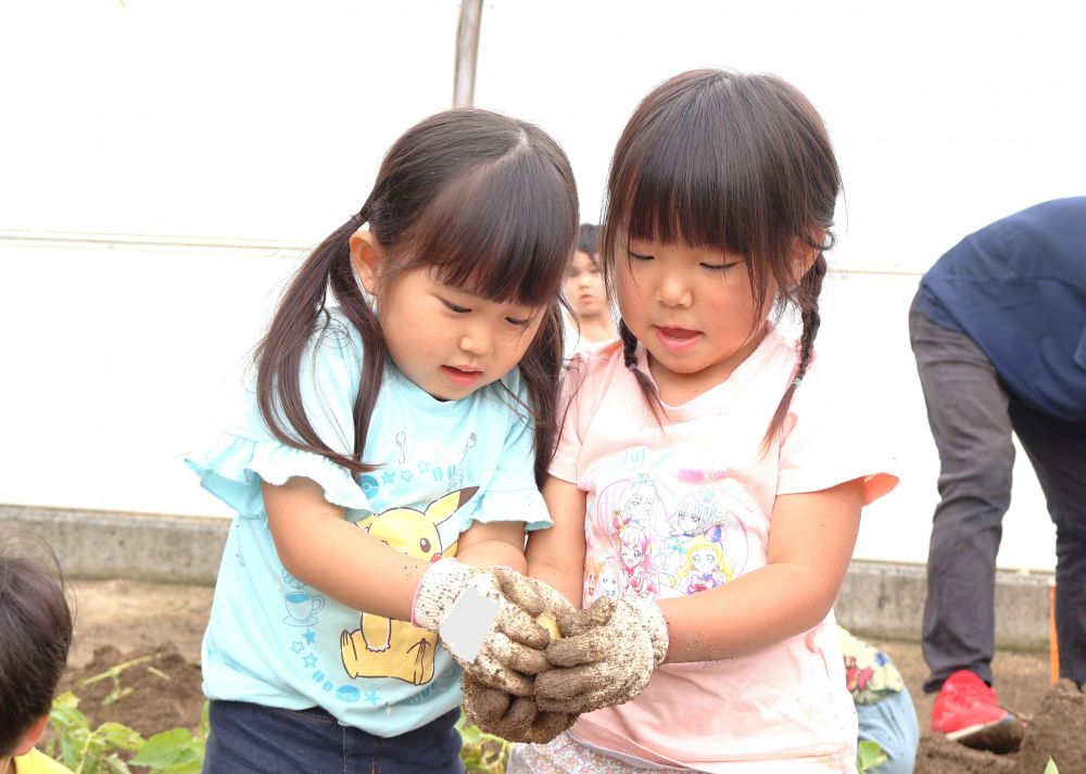 　「やっととれたね～」
　「手より大きいね！」
友達と協力しながら一生懸命収穫したじゃがいも♡
大変さや達成感を感じながら夢中になっていました！
このじゃがいもがクッキングでどんな料理に変身するか
楽しみだね♪