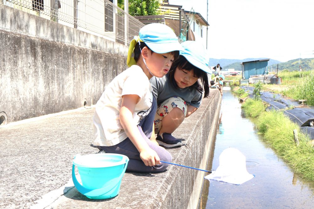 その季節にしか出会うことのできない
生き物って本当におもしろい！！
散歩先の水路で川の生き物を発見したり、捕まえたり…
夢中になっているゾウ組さん



　「あ！なんか動いた！！」
　「アメンボじゃない！？」
アメンボの動きに興味津々☆