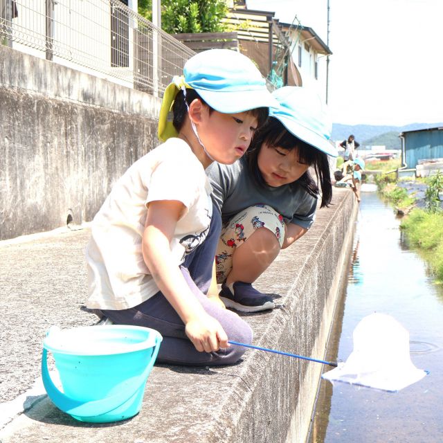 ＊　４歳児　川の生き物に夢中！！　＊