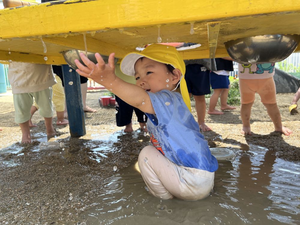 大きな水たまりに入って遊んでいると、
上から水がポタポタ・・・
それに気づいたYくん。
あ！！あ！！と触っていましたよ。
