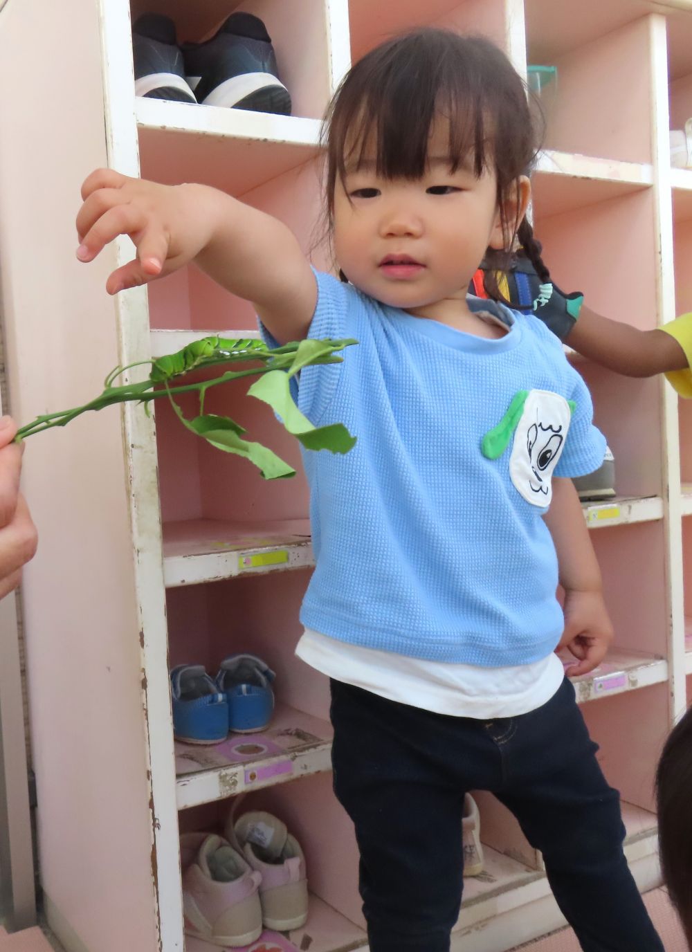 最初は黒く、とっても小さかった”アゲハの幼虫”
毎日、お世話してこんなに大きくなりました✨