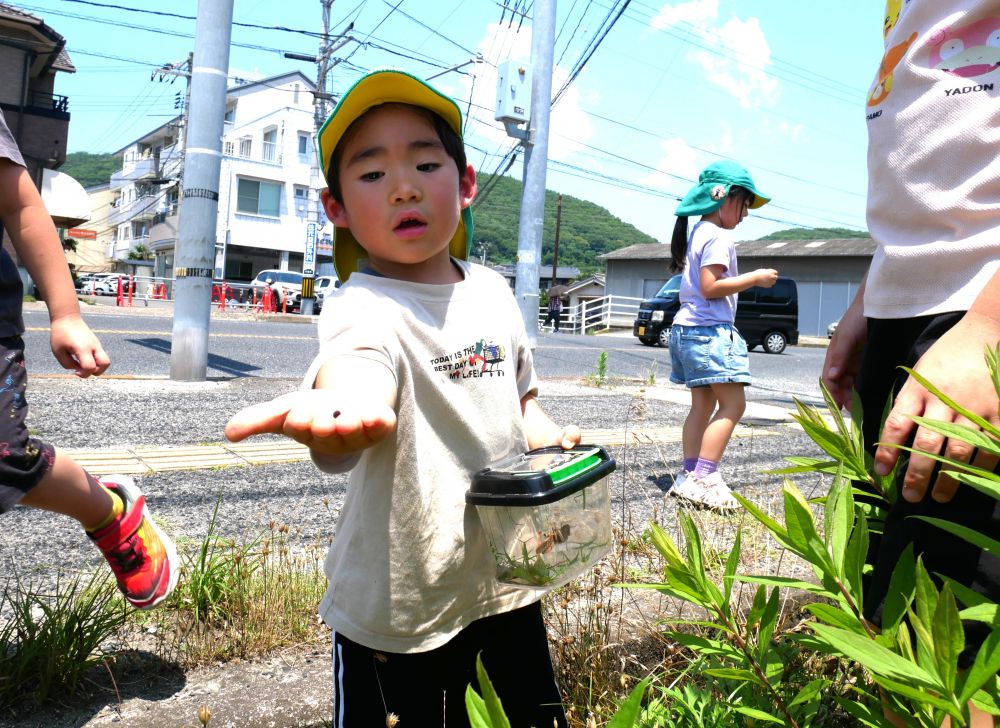 「見て!!こんなとこにもおるよ」
溝の葉っぱをかき分け見つけるSくん
虫に詳しいSくん、分からない物がいると
すぐに図鑑とにらめっこ♪
