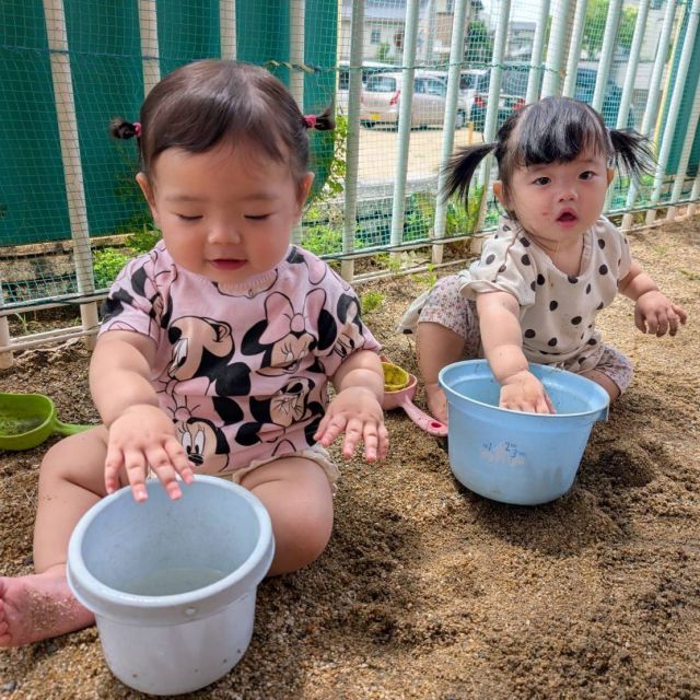 水遊び　～０歳児　ウサギ組～　