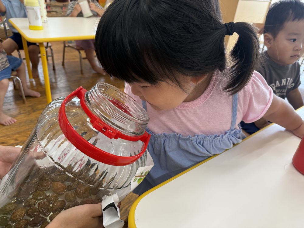 『うめこちゃん』と、名付けて、
毎日フリフリしていた、梅シロップ。
ついに完成しました✨️
まずは匂いをかいでみたよ!
匂いは…?な様子。