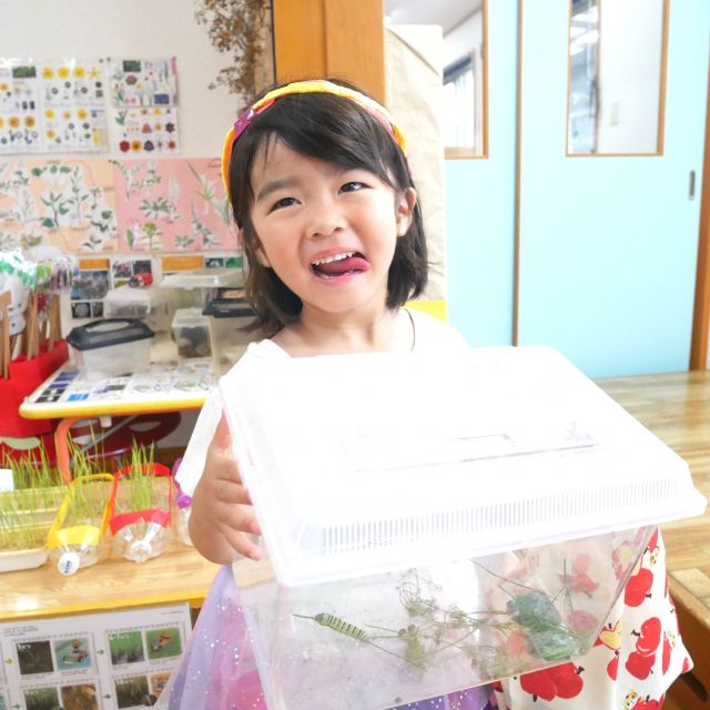 ＊　3歳児　ついに・・・　＊