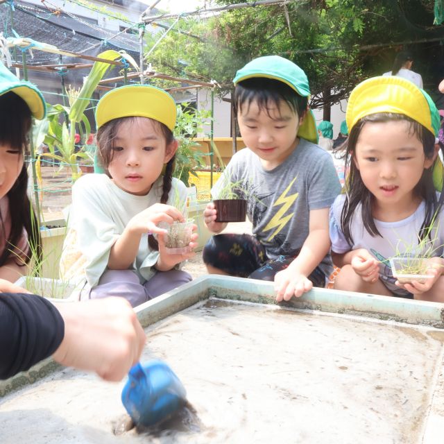 田植え　＊５歳児＊