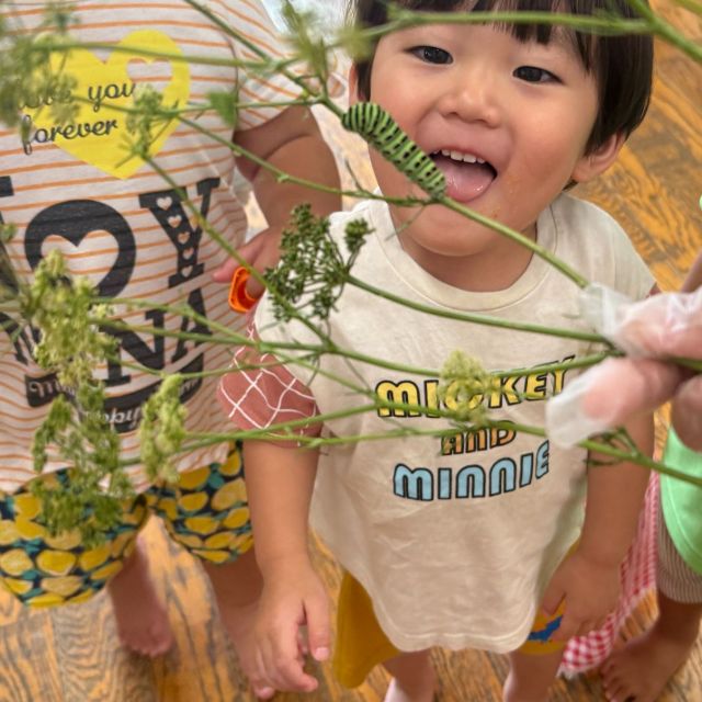 虫大好き 　～2歳児 　クマ組～