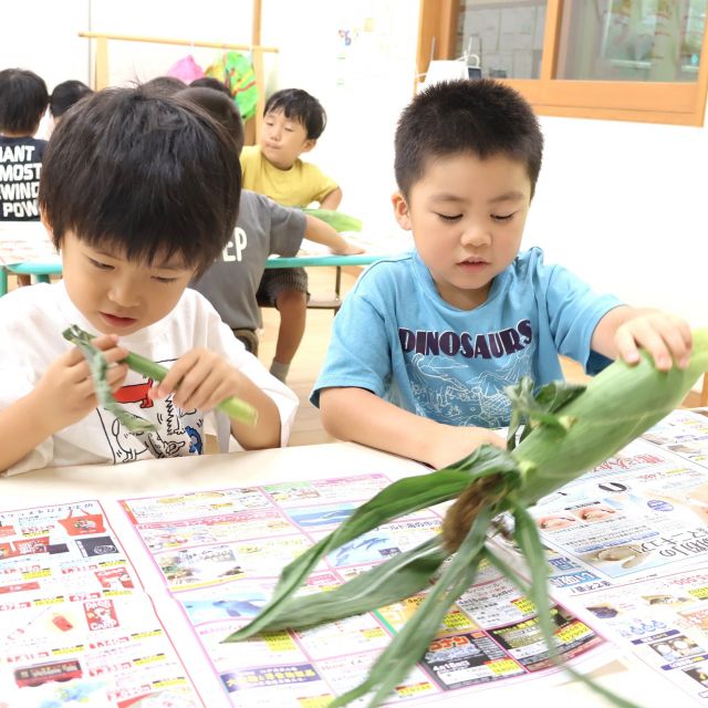 ＊　4歳児　とうもろこしの皮むきに挑戦！　＊
