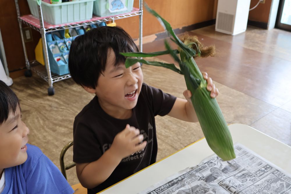 今回の食育活動はとうもろこしでした🌽
皮をむく前のとうもろこしを触る、匂う、
感触を楽しみます♪
とうもろこしを匂ってKくんが一言
「くさー! いつもと匂いが違う!」
想像と違うことで、さらに食材への興味をもちます