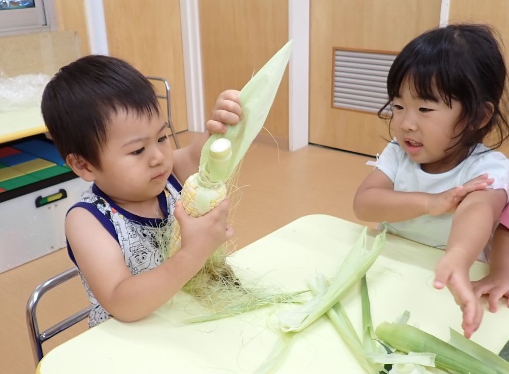 力いっぱい引っ張って
　　『ばり　ばり！！』